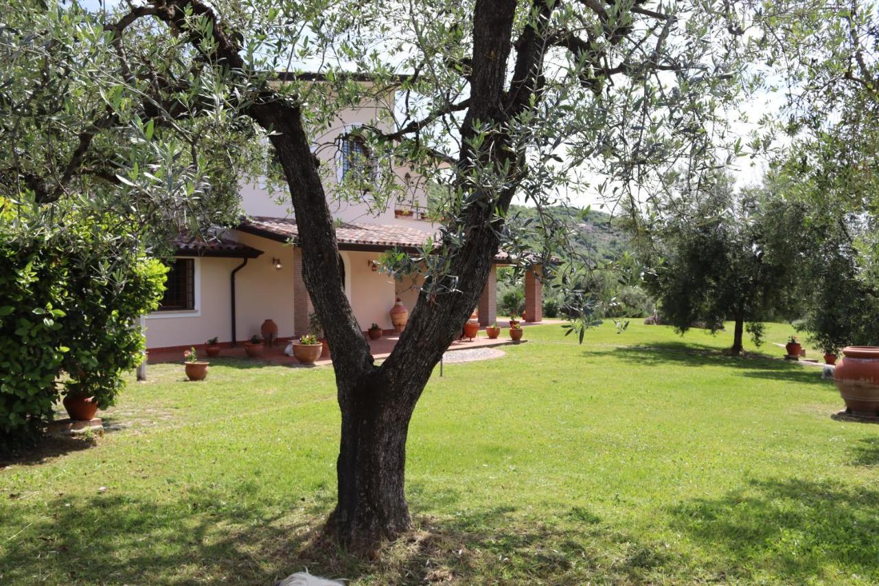 Agriturismo Il Bagolaro Nerola Екстер'єр фото