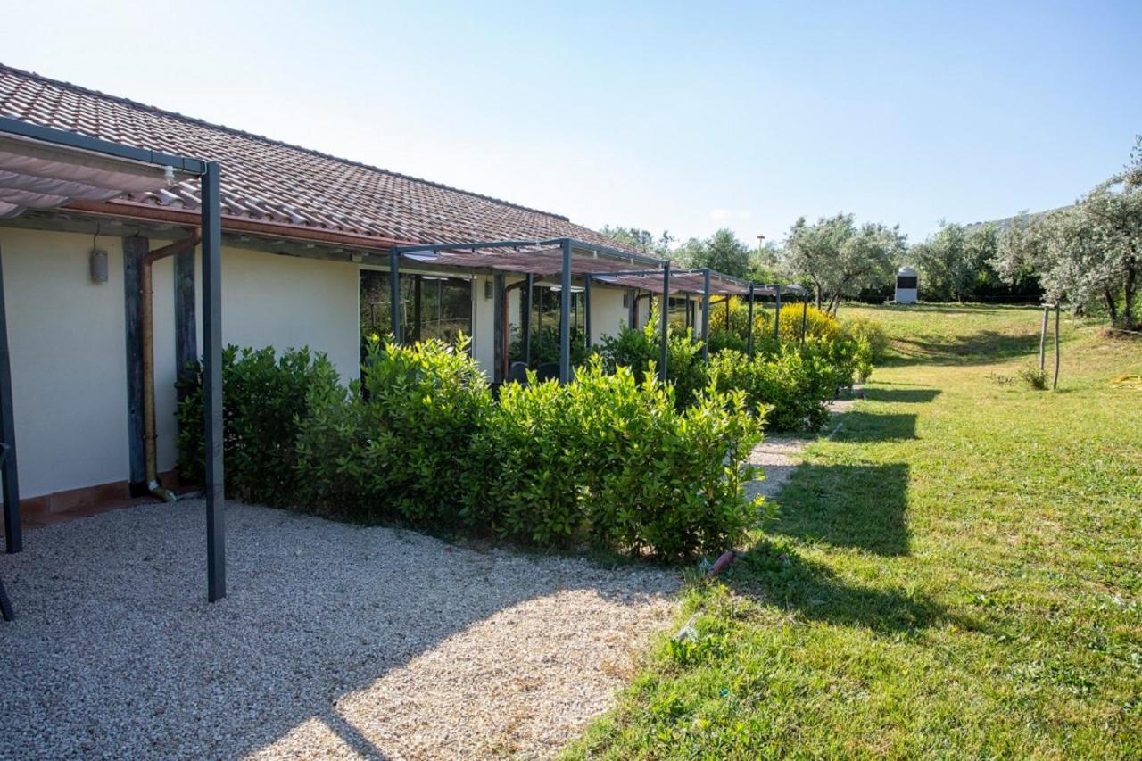 Agriturismo Il Bagolaro Nerola Екстер'єр фото